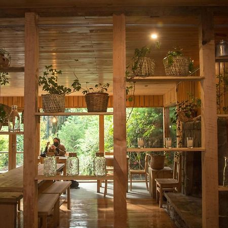 Raices Bed And Breakfast Coyhaique Bagian luar foto