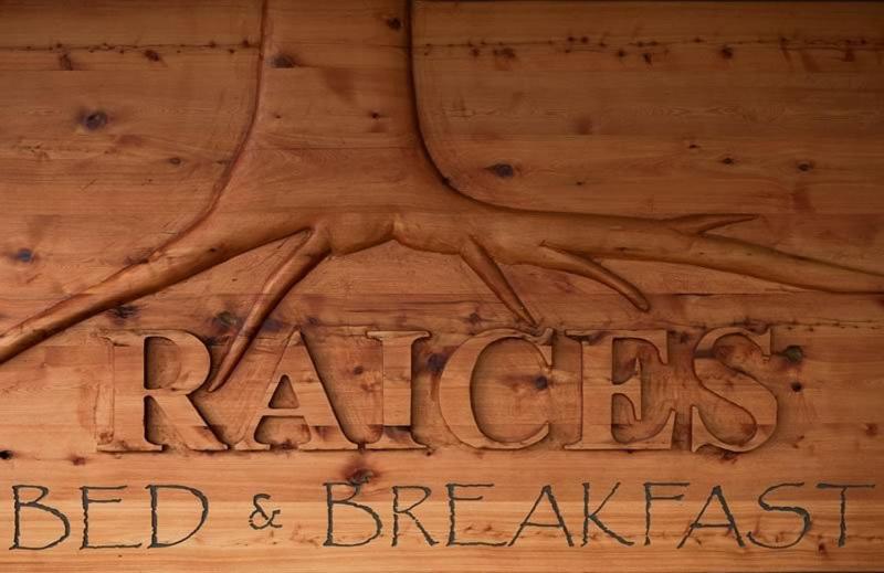 Raices Bed And Breakfast Coyhaique Bagian luar foto
