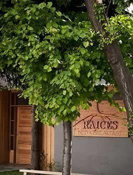 Raices Bed And Breakfast Coyhaique Bagian luar foto